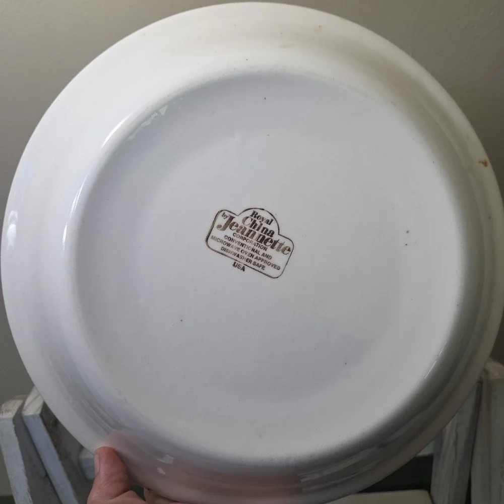 Vtg Royal China by Jeanette USA 11